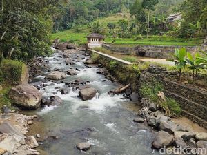 Menikmati Panorama Alam nan Hijau Segar dari Jembatan Cikidang Menikmati Panorama Alam nan Hijau Segar dari Jembatan Cikidang
