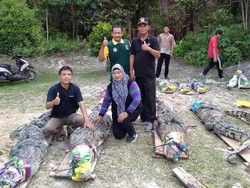 28 Ekor Buaya Bakas Konflik Dievakuasi dari Lingga ke Batam