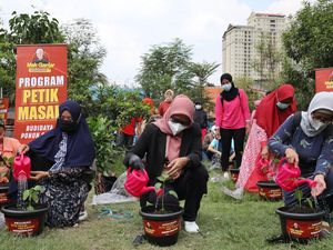 Dukung Ketahanan Pangan, Relawan Mak Ganjar Bagikan Ribuan Bibit Cabai