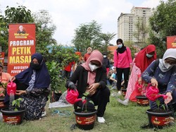 Dukung Ketahanan Pangan, Relawan Mak Ganjar Bagikan Ribuan Bibit Cabai