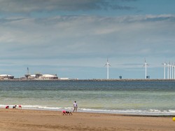 Bertelanjang Dada di Pantai Belgia, Sap-siap Didenda Rp 5 Juta