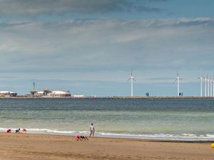 Bertelanjang Dada di Pantai Belgia, Sap-siap Didenda Rp 5 Juta Bertelanjang Dada di Pantai Belgia, Sap-siap Didenda Rp 5 Juta