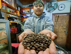 Harga Kopi di Tingkat Petani Enrekang Naik Drastis, Tembus Rp 25.000/Liter