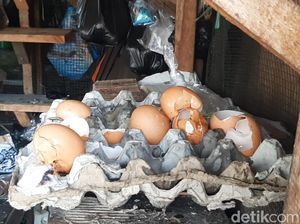Telur Ayam Pecah Laris Manis di Tasik: Jadi Bahan Kue Kering Telur Ayam Pecah Laris Manis di Tasik: Jadi Bahan Kue Kering