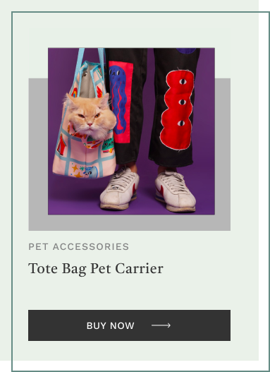 Tote Bag Pet Carrier