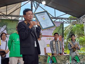 Aksi 1000 Orang Minum Teh Mangrove di Bengkulu Pecahkan Rekor MURI