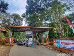 Pengelola Larang Pendakian Mandiri ke Puncak Gunung Puntang