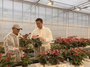 Pulang Kampung, Jack Ma Banting Setir Jadi Petani Pulang Kampung, Jack Ma Banting Setir Jadi Petani