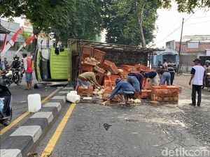 Truk Terguling di Jalan Nasional Jombang, Ratusan Ayam Potong Tumpah ke Jalan Truk Terguling di Jalan Nasional Jombang, Ratusan Ayam Potong Tumpah ke Jalan
