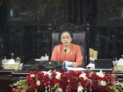 Puan Minta Pemerintah Lebih Gencar Sosialisasikan IKN