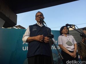 Anies Unggah Kisah Kucing yang Tergusur Kini Diabadikan Jadi Patung Anies Unggah Kisah Kucing yang Tergusur Kini Diabadikan Jadi Patung