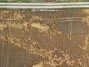 Gelombang Panas Hantam Jerman, Gersang di Mana-mana