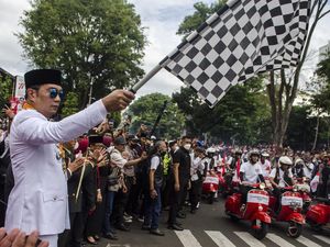 Ridwan Kamil Telusuri Informasi Kucing-kucing Mati Ditembak di Sesko TNI Ridwan Kamil Telusuri Informasi Kucing-kucing Mati Ditembak di Sesko TNI