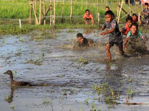 Meriah Banget Lomba 17an di Berbagai Daerah: Gebuk Guling sampai Kejar Bebek