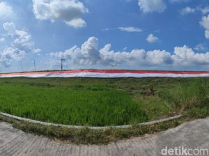 Gagahnya Merah Putih Raksasa Membentang di Tanggul Bengawan Solo Lamongan Gagahnya Merah Putih Raksasa Membentang di Tanggul Bengawan Solo Lamongan
