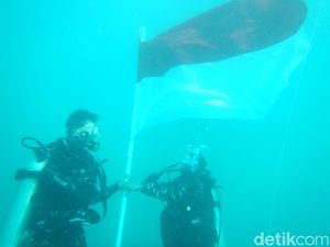 Momen Lanal Bengkulu Kibarkan Merah Putih di Dasar Laut Pulau Tikus Momen Lanal Bengkulu Kibarkan Merah Putih di Dasar Laut Pulau Tikus