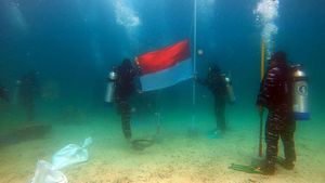 Potret Pengibaran Bendera Merah Putih di Dasar Laut Raja Ampat