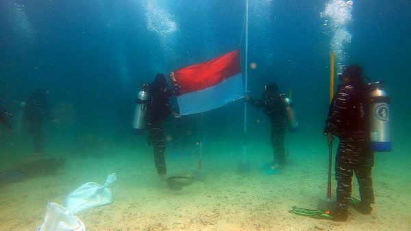 Potret Pengibaran Bendera Merah Putih di Dasar Laut Raja Ampat