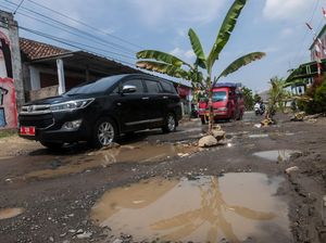 Protes Jalan Rusak, Warga Tanam Pohon di Tengah Jalan