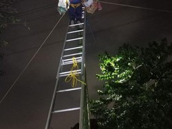 Saat Hadiah Panjat Pinang di Jaktim Nyangkut Bikin Damkar Turun Tangan