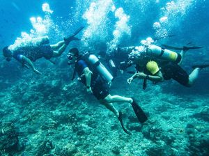 Hari Maritim Nasional Tanggal Berapa? Ini Penjelasan dan Sejarahnya Hari Maritim Nasional Tanggal Berapa? Ini Penjelasan dan Sejarahnya