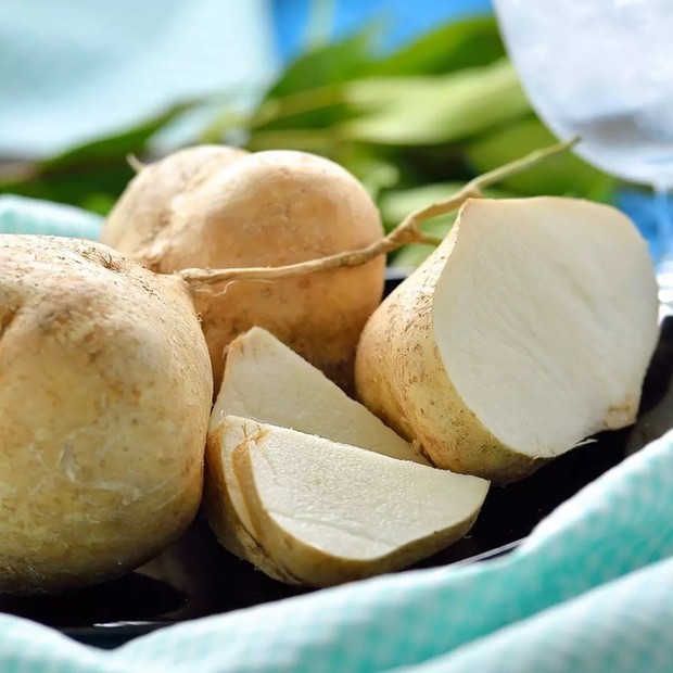 Ilustrasi buah bengkoang/ Instagram.com/ daily_green_wonogiri Ilustrasi buah bengkoang/ Instagram.com/ daily_green_wonogiri