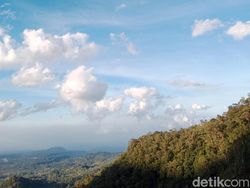 Potensi Hujan Minim, BMKG Jambi Ingatkan Pemda Waspadai Karhutla