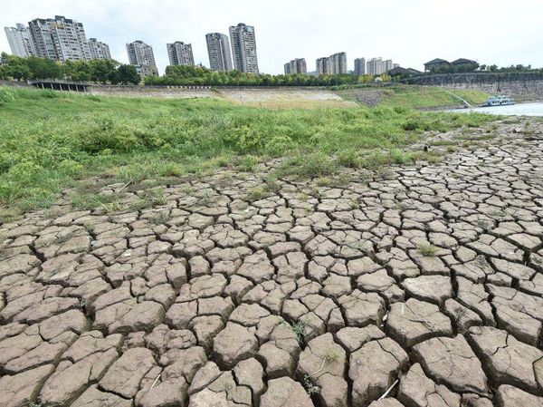 Ini Kekeringan di China yang Ganggu Pertanian, Air Minum hingga Pabrik