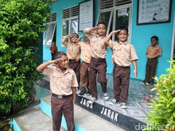 10 Contoh Komponen Biotik dan Abiotik di Lingkungan Sekolah