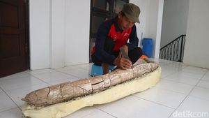 Penampakan Fosil Gading Gajah Diduga Berusia Jutaan Tahun di Kudus