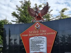Panglima TNI Mutasi Brigjen NA yang Tembaki Kucing di Sesko TNI Bandung Panglima TNI Mutasi Brigjen NA yang Tembaki Kucing di Sesko TNI Bandung