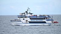 Ada Wisata Mengamati Ikan Paus di Teluk Islandia, Mau Ikut?
