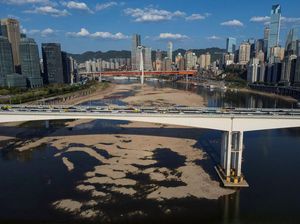 Gelombang Panas: Penyebab, Dampak, dan Cara Menghadapinya