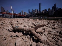 Dilanda Gelombang Panas Ekstrem, China Borong Batu Bara Lagi