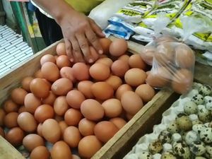 Harga Telur di Sumut Naik, Ini Penyebabnya Harga Telur di Sumut Naik, Ini Penyebabnya