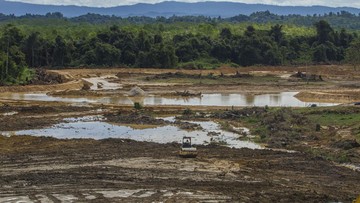 Pembebasan Lahan di IKN Masih Terkendala, Ini Alasannya