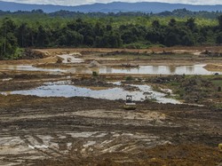 Pembebasan Lahan di IKN Masih Terkendala, Ini Alasannya