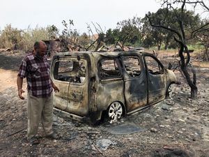 Mobil-mobil Ini Jadi Bangkai Gegara Kebakaran Hutan di Aljazair