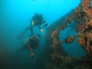 15 Peserta Ikuti Lomba Foto & Video Keindahan Bawah Laut Mandeh 15 Peserta Ikuti Lomba Foto & Video Keindahan Bawah Laut Mandeh