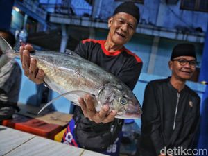 Uniknya Pasar Ikan di Tarempa, Jual Belinya Tanpa Timbangan Lho Uniknya Pasar Ikan di Tarempa, Jual Belinya Tanpa Timbangan Lho