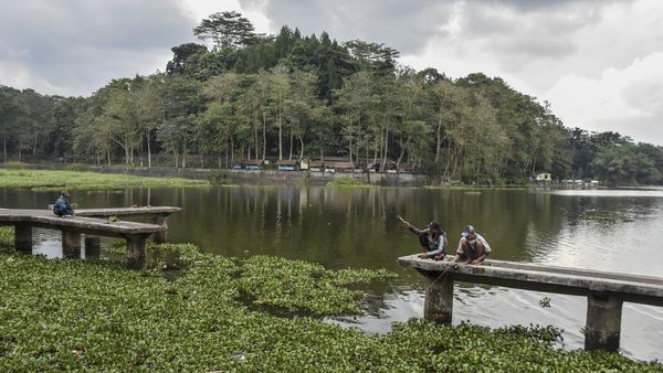 Potret Situ Gede Tasikmalaya yang Butuh Perhatian