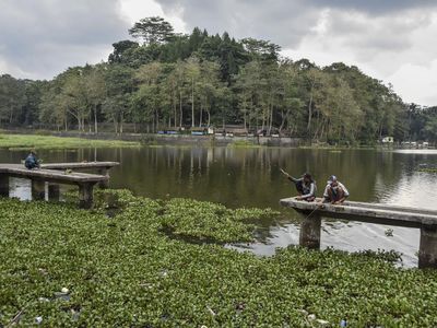 Potret Situ Gede Tasikmalaya yang Butuh Perhatian