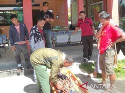 Selfie di Puncak Rinjani, WN Portugal Tewas Jatuh ke Jurang 150 Meter