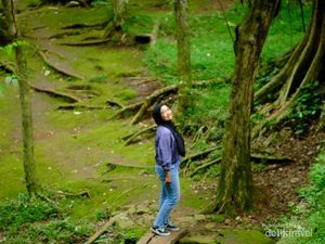 Pemprov DKI Mau Beli Lahan Rp 300 M di Kemang, Pengamat Wanti-wanti Ini