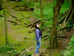 Pemprov DKI Mau Beli Lahan Rp 300 M di Kemang, Pengamat Wanti-wanti Ini