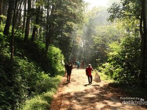 10 Tempat Wisata Seru di Dago Bandung