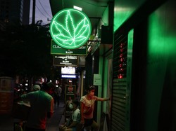 Thailand Klaim Malaysia Tertarik Pelajari Aturan Ganja Medis