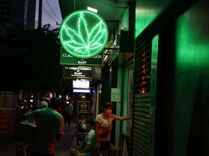 Thailand Klaim Malaysia Tertarik Pelajari Aturan Ganja Medis Thailand Klaim Malaysia Tertarik Pelajari Aturan Ganja Medis