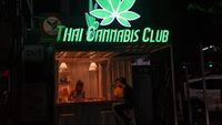 Thailand Tolak Turis yang Datang Demi Ganja, Ada Dendanya Lho