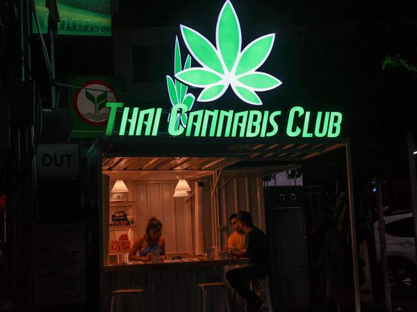 Thailand Tolak Turis yang Datang Demi Ganja, Ada Dendanya Lho